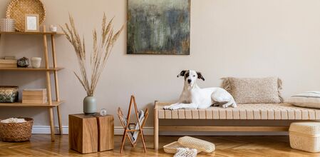 Hundefreundliche Ferienwohnung